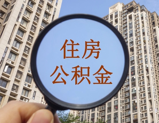 呼和浩特退休后查不到公积金明细了吗（退休后公积金查询不到原因）